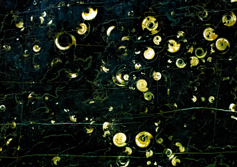 Dark Matter 27811_005