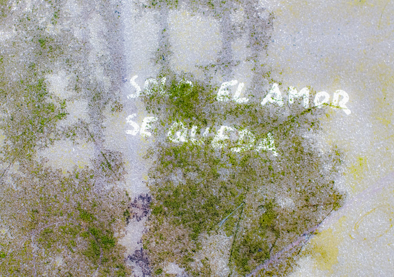 Solo el Amor 27962_0B25